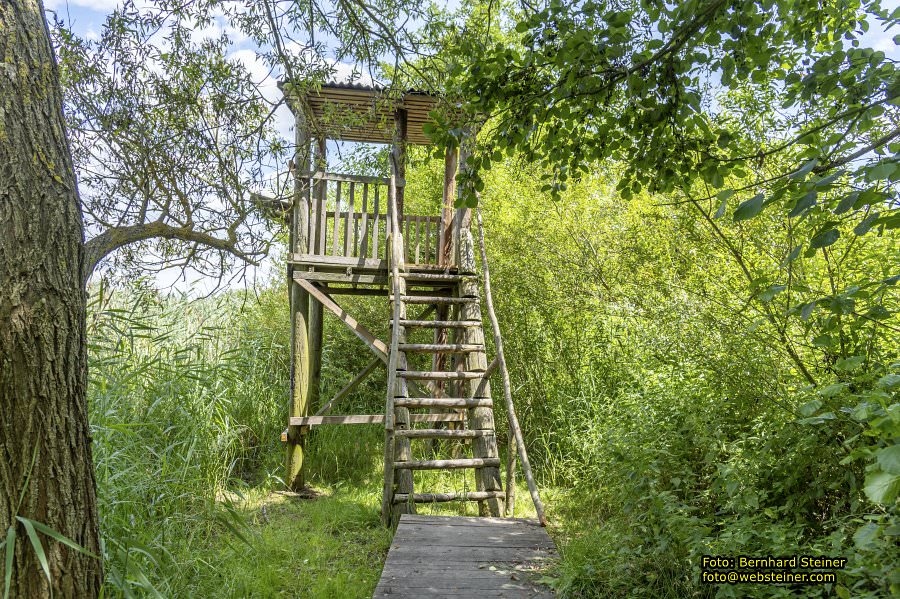 Naturpark Geras, Juli 2023