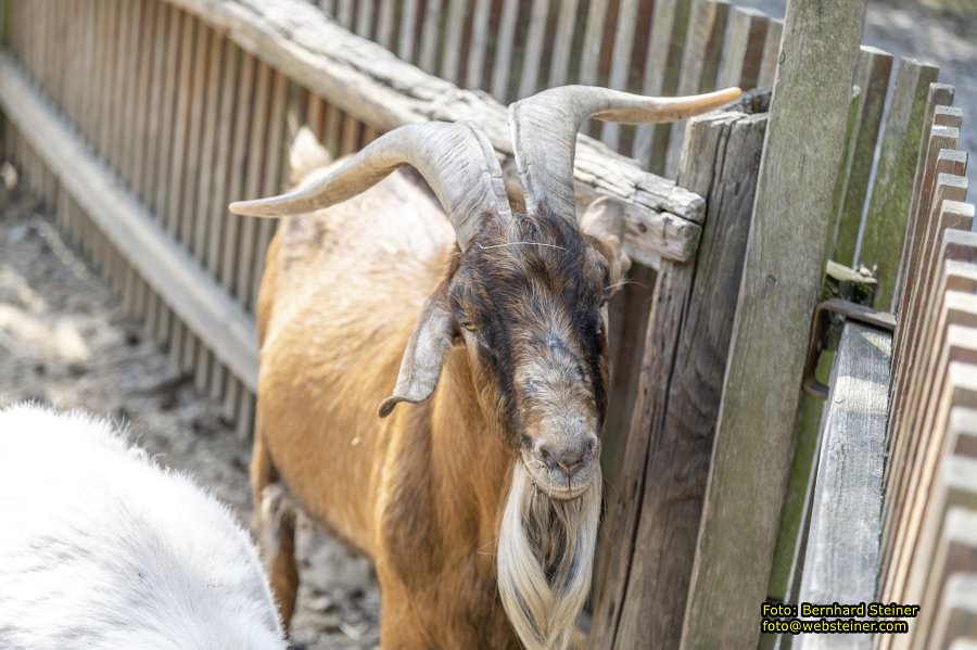 Naturpark Geras, Juli 2023