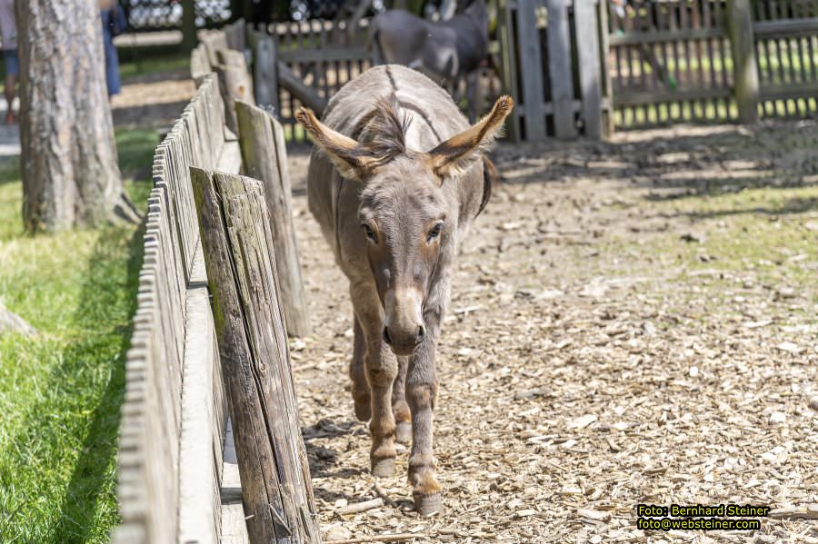 Naturpark Geras, Juli 2023