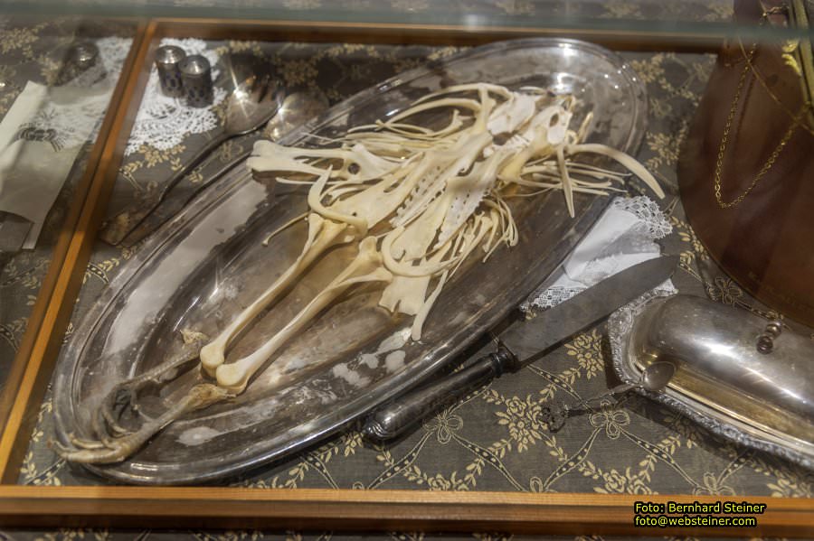 Nonseum in Herrnbaumgarten, Juli 2023