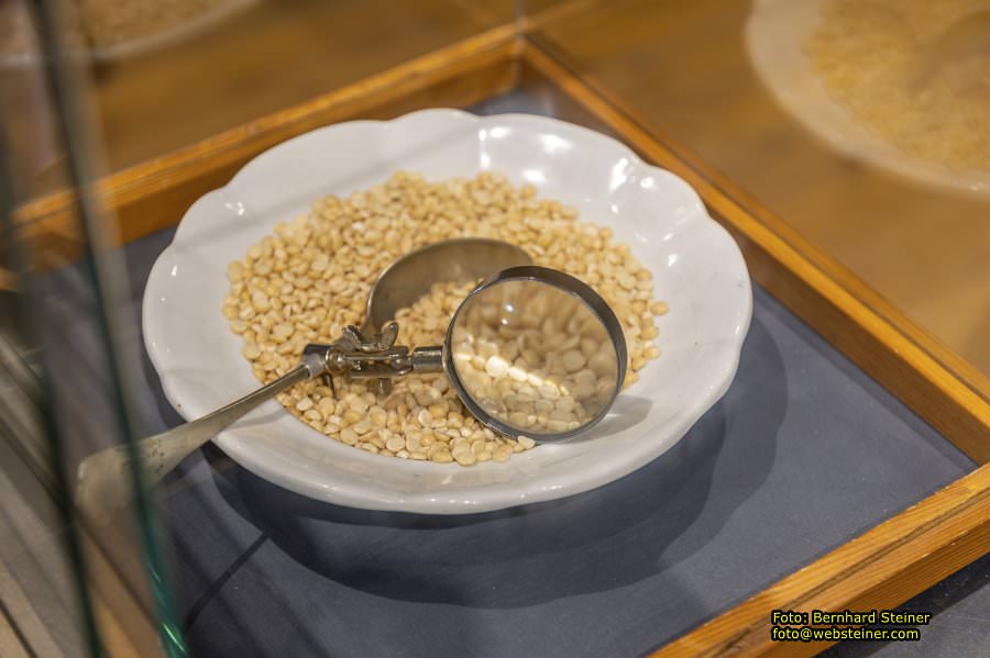 Nonseum in Herrnbaumgarten, Juli 2023