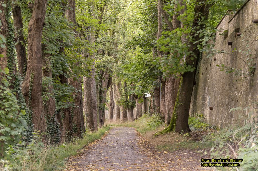 Osnabrck die Friedensstadt, September 2024