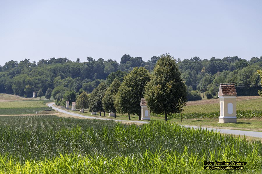 Pinkafeld im Südburgenland, Juli 2026