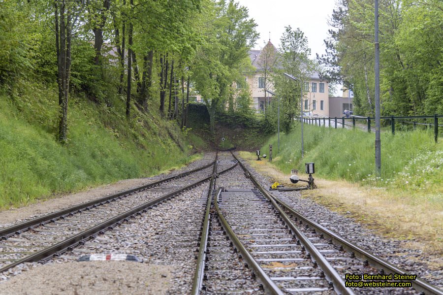 Bahnerlebnis Reblaus-Express, Mai 2023
