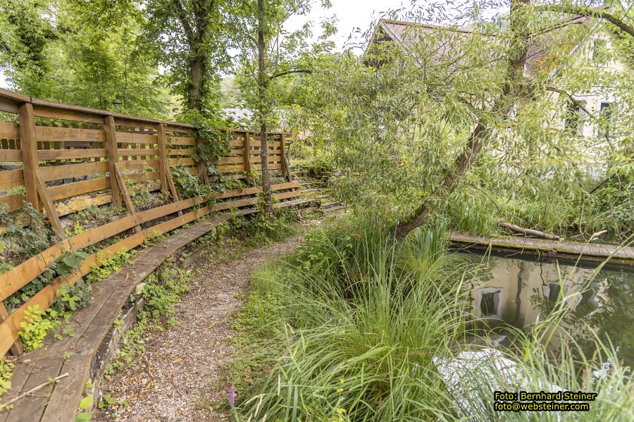 Steinschaler Naturg�rten, Juli 2023