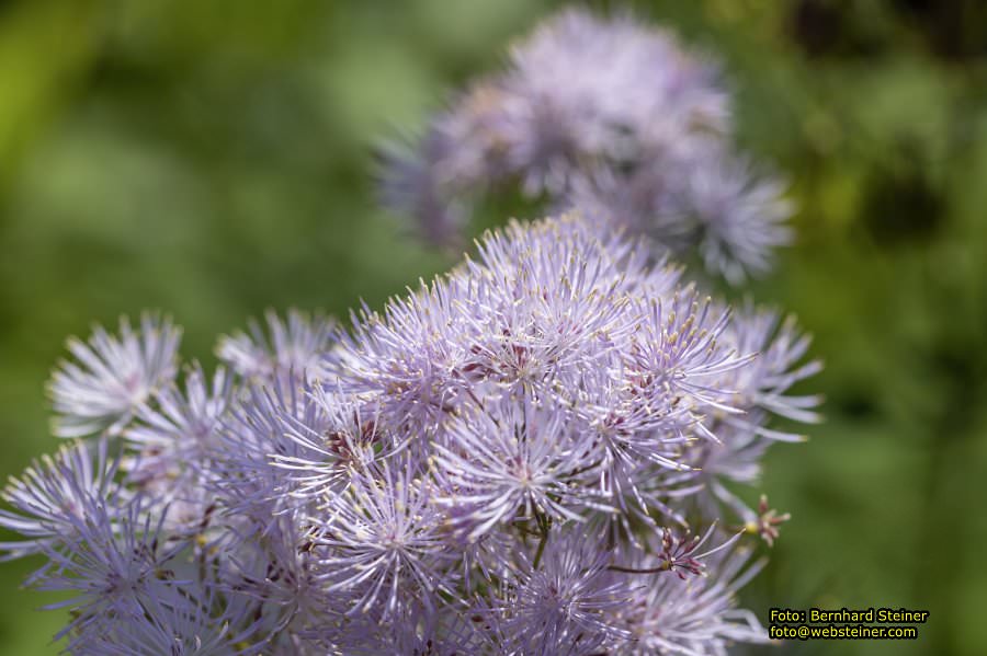 Tulln an der Donau, Juni 2023
