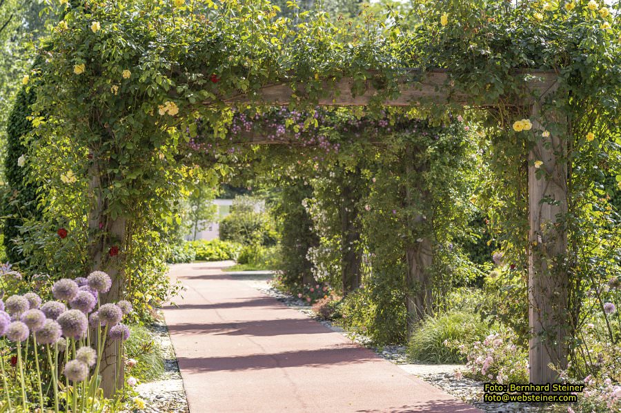 Tulln an der Donau, Juni 2023