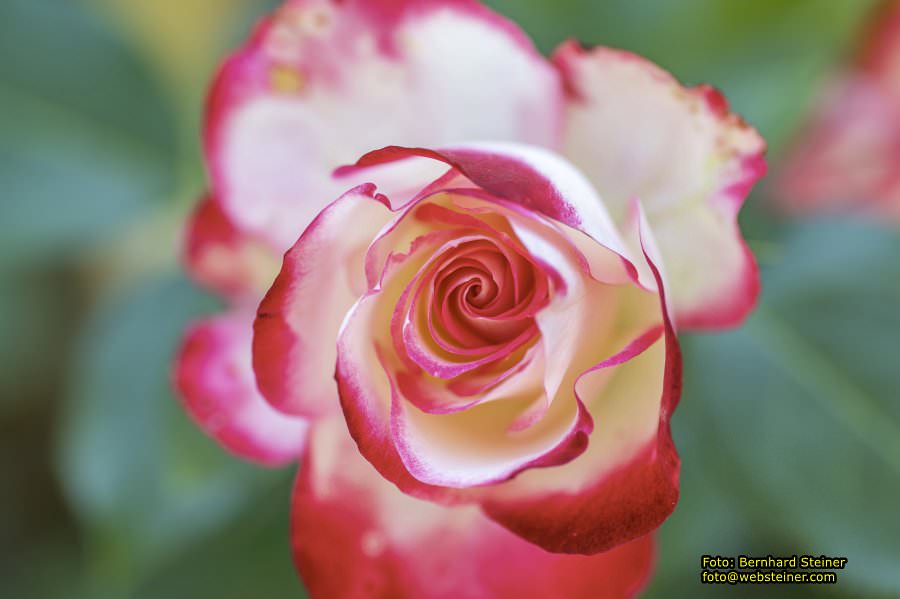 Tulln an der Donau, Juni 2023