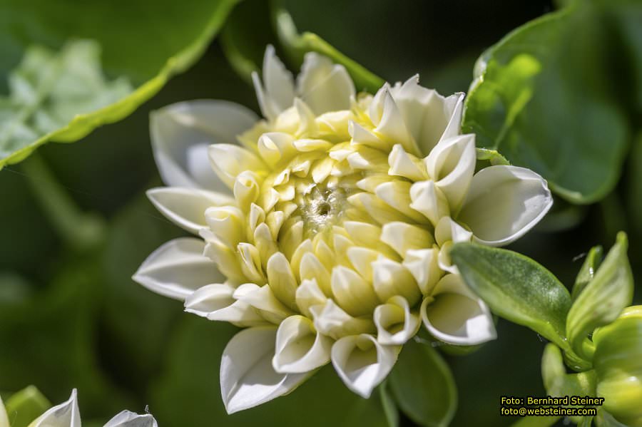 Tulln an der Donau, Juni 2023