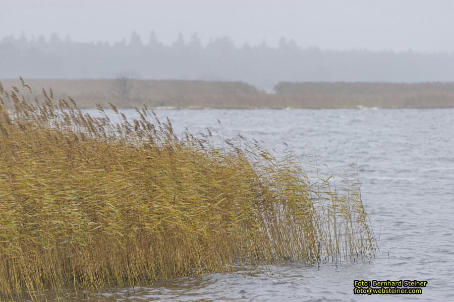 Usedom, November 2012
