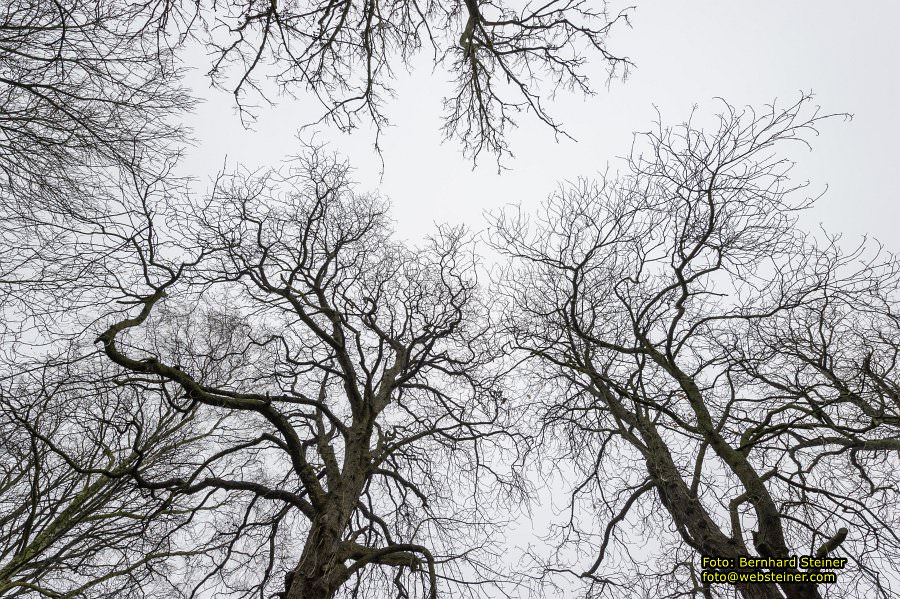Usedom, November 2012