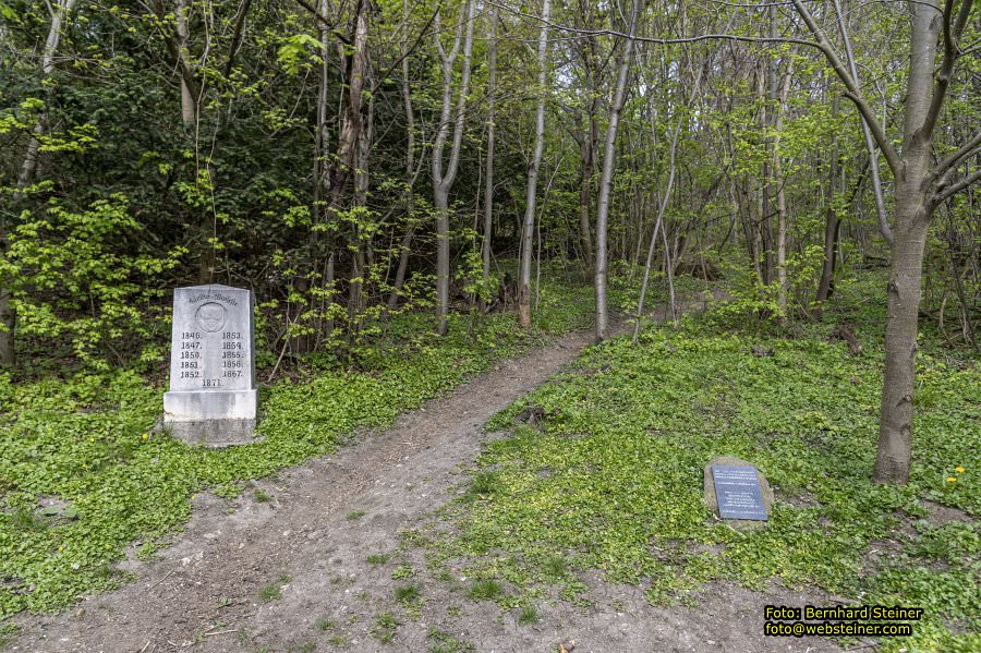 Kahlenberg in Wien, April 2026