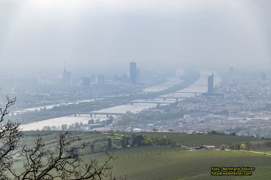 Kahlenberg in Wien, April 2026