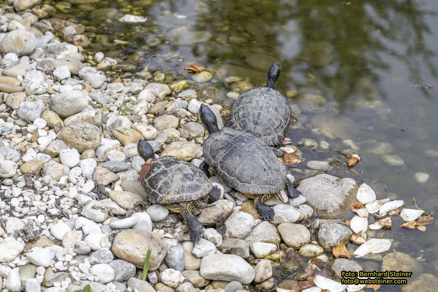 Setagayapark in Wien, April 2026