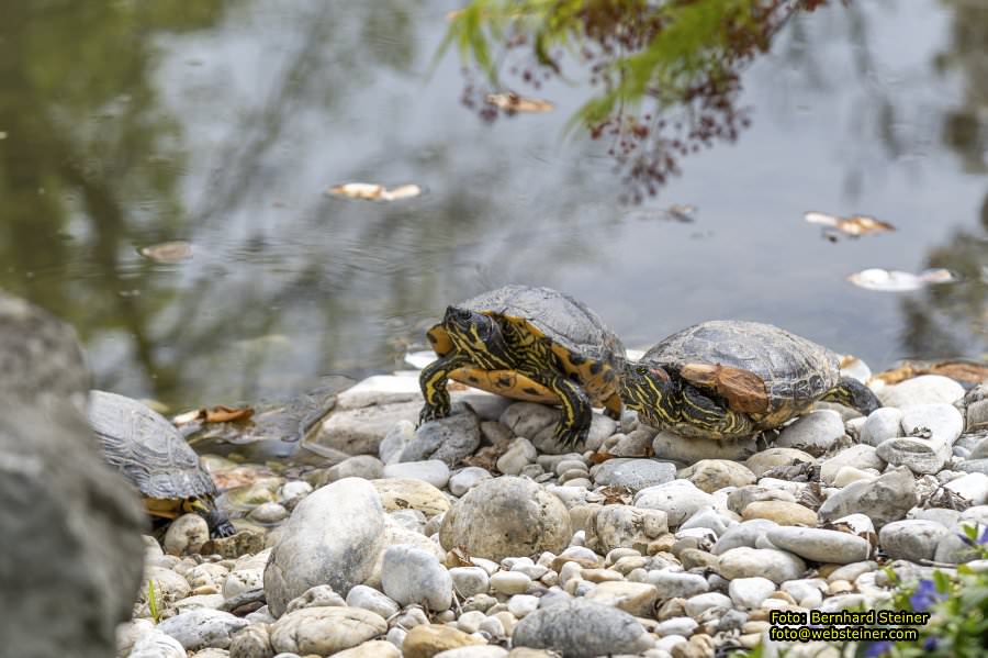 Setagayapark in Wien, April 2026