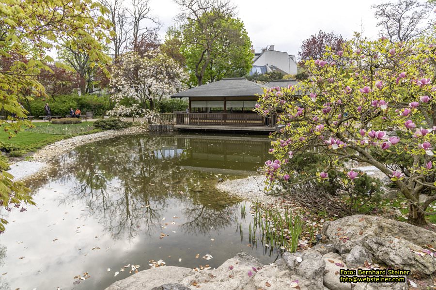 Setagayapark in Wien, April 2026