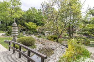 Projekt: Setagayapark in Wien, April 2026