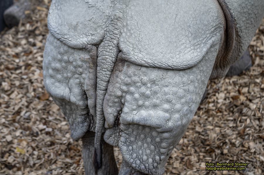 Zoo Vienna - Tiergarten Schönbrunn, Oktober 2026