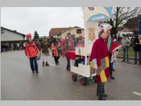 Zillingdorfer Faschingsumzug, 04.03.2014