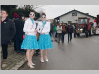 Zillingdorfer Faschingsumzug, 04.03.2014