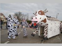 Zillingdorfer Faschingsumzug, 04.03.2014